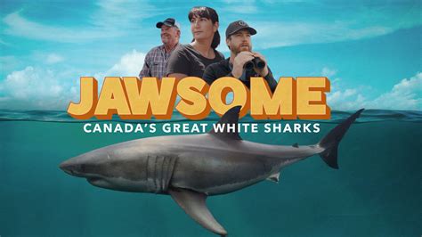 Jawsome: behind the scenes of Canada’s newest great white shark ...