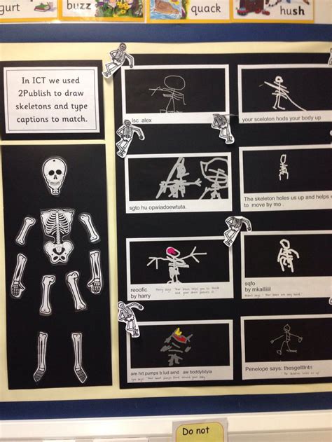 a bulletin board with skeleton pictures and instructions on it's side, in the classroom