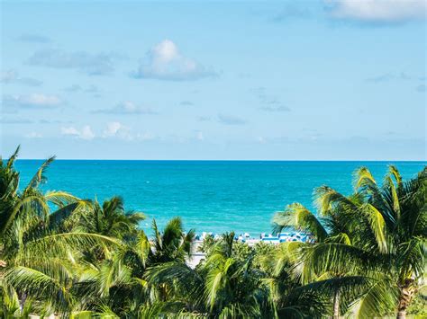 Miami offers more than beaches and palm trees. You will get there