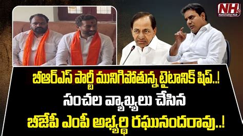 BJP Medak MP Candidate Raghunandan Rao Sensational Comments On BRS