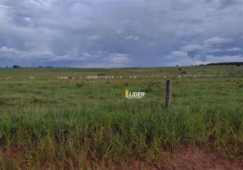 Chácaras à venda na Zona Rural em Tesouro Chaves na Mão