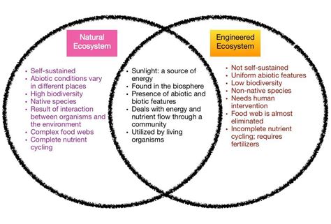 I Identify Similarities And Differences Between Natural Vegetation