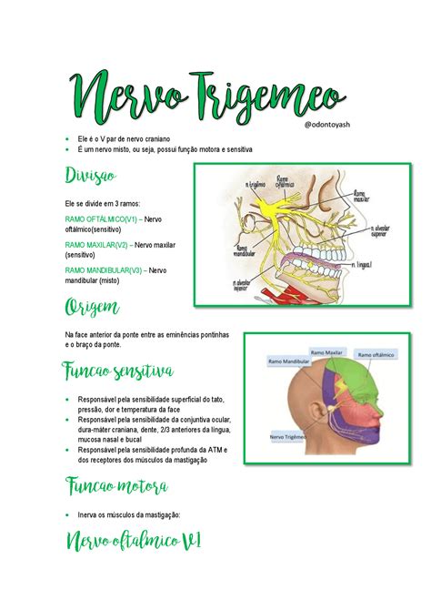 Dor Neurop Tica Saiba O Que Causa E Como Identificar