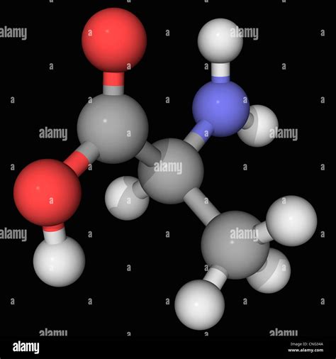 Mol Cula De Alanina Fotograf A De Stock Alamy