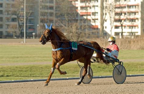 Berlin Trabrennbahn Mariendorf 28 1 2024 6 Jonny De La Cou Flickr