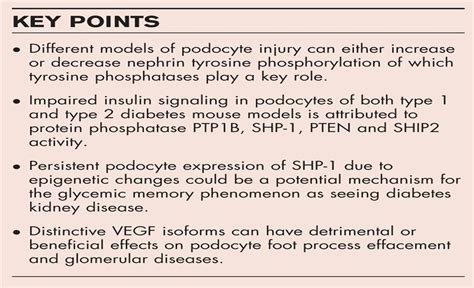 Protein phosphatases and podocyte function : Current Opinion in Nephrology and Hypertension