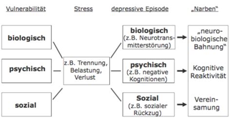 Affektive St Rungen Depression Flashcards