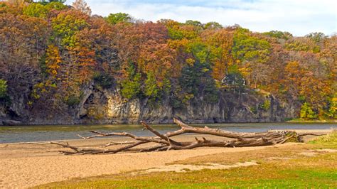 One Of The Most Picturesque State Parks In The Midwest Is Also A Fossil ...