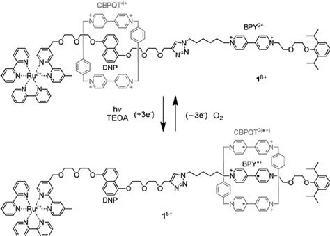 Structural Formula And Schematic Representation Of The Light Induced