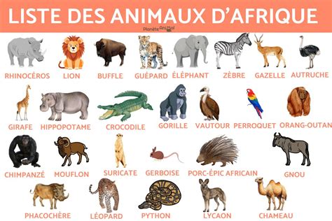 Animaux Dafrique Liste Noms Et Photos De 80 Exemples