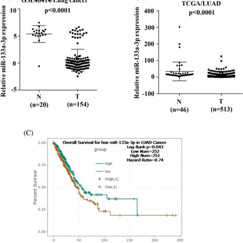 Low Expression Of MiR133a3p Is Significantly Correlated With A Poor