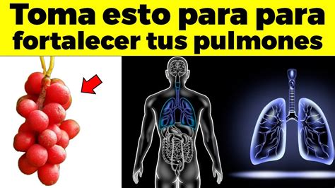 Mejores Suplementos Para Fortalecer Tus Pulmones Youtube