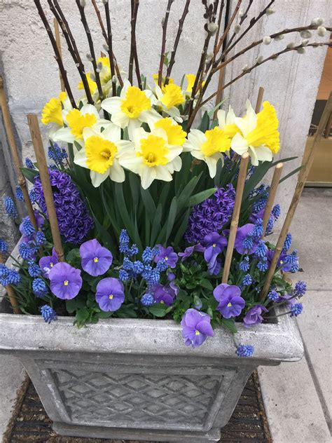 Pin by Andrea on Velkonočné dekorácie | Container flowers, Garden