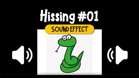 Hissing 01 Sound Effect 嘶嘶聲 01 動物 音效 High Quality Youtube