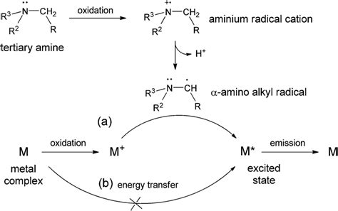 (a) Generalised mechanism of the chemiluminescence reactions of... | Download Scientific Diagram