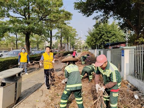 300余名党员干部齐出动！中山西区街道再掀人居环境整治热潮 新闻频道 中山网