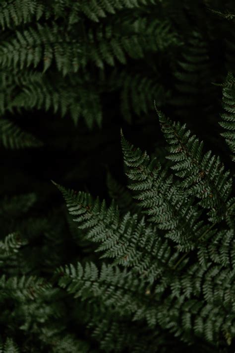 Avoiding Crowds in the National Parks | Rendezvous Elopements