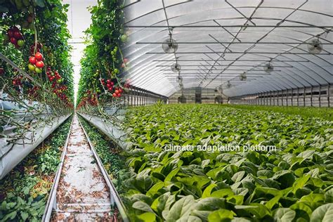 Enhancing Global Crop Yields Through Greenhouses and Bio Engineering ...