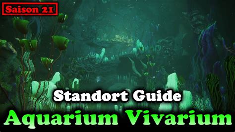 Aquarium Vivarium Tauchgang Pflanzen Standorte Saison Der Tiefe