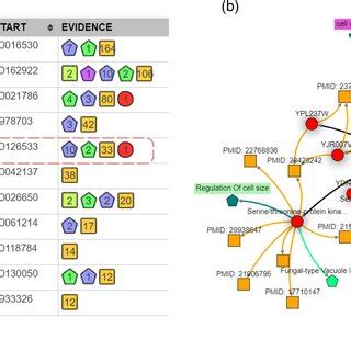 From Qtl To Candidate Genes To Gene Networks A Candidate Genes