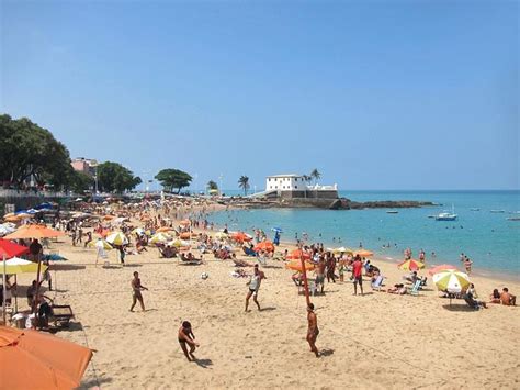 Beaches in Salvador da Bahia, Brazil | Brazil beaches, Beach fun, Beach