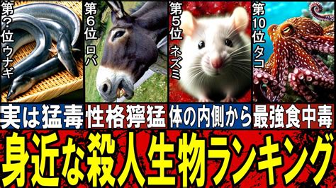 【閲覧注意】身近にいる意外な殺人生物 Top10【ゆっくり解説】【総集編】 Youtube