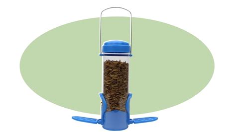 What to know about bird feeders and the best ones for any yard - Reviewed