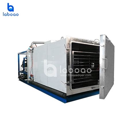 China 400kg Lyophilizer Freeze Dryer For Pet Food Manufacturer And