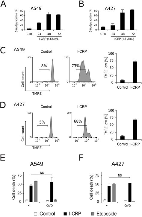 Cytotoxic activity of IMMUNEPOTENT CRP against non-small cell lung