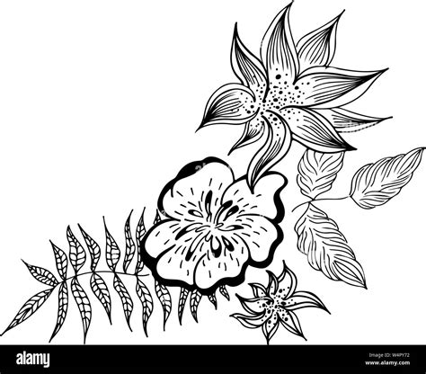 Sommer Tropischen Blatt Florale Botanischen Blume Hand Vector