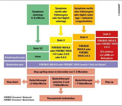 Asthma Neue Aspekte Aus Diagnostik Und Therapie Pneumologie