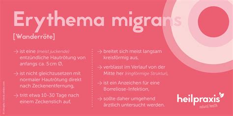 Erythema Migrans Ursachen Und Behandlung Heilpraxis