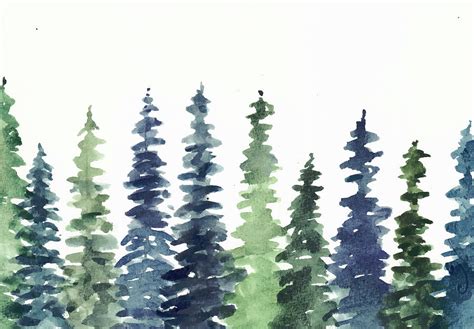 Pine Trees Watercolor Painting By Yorda Creative Fine Art America