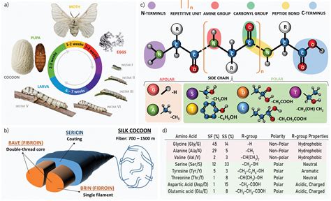 Silk Fibroin As Sustainable Advanced Material Material Properties And