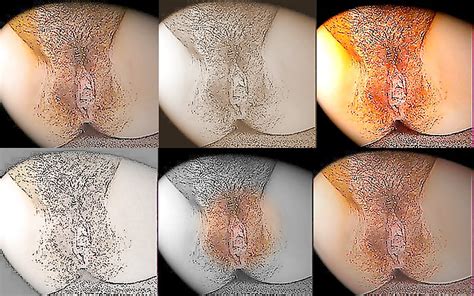 Perfect Hairy Pussy Porn Pictures XXX Photos Sex Images 1555783 PICTOA