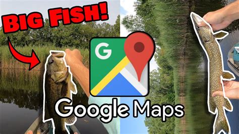 Fishing In TINY Google Maps Ponds For BIG Bass And Pike Bass Manager