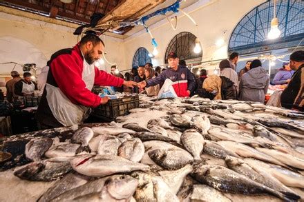 Fish Vendor Gesture Centrale Tunis Muslims Editorial Stock Photo