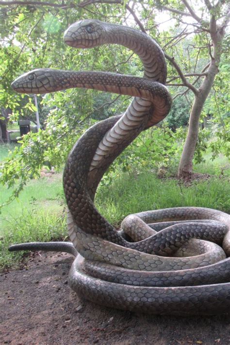 Snake Park in Chennai - Explore the Fascinating World of Snakes