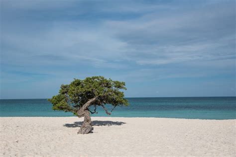 Welk ABC eiland is het leukst Aruba Bonaire of Curaçao