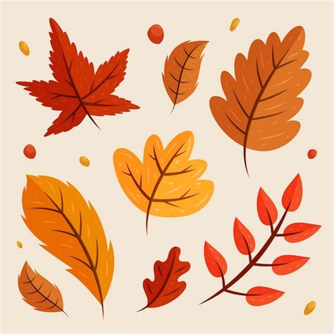 Free Vector Hand Drawn Autumn Leaves Collection