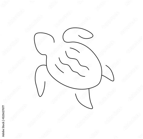 Vector Isolated Sea Turtle Top View Colorless Black And White Contour