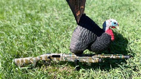 Mossberg 940 Pro Turkey Shotgun Review Guns