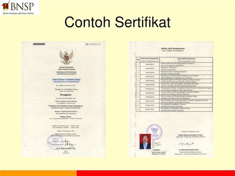 Detail Contoh Sertifikat Bnsp Koleksi Nomer 30