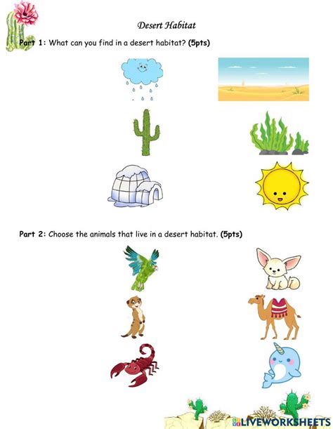 Desert Habitats Animals