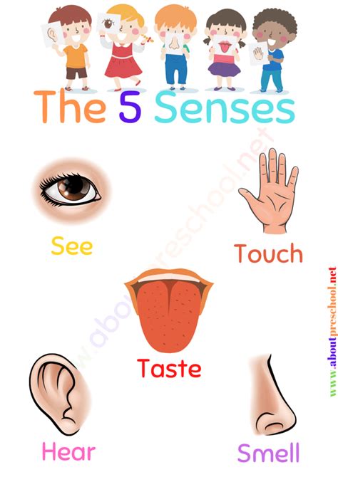 Five Senses Chart A Free Printable Pdf Artofit