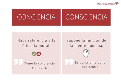 CONCIENCIA O CONSCIENCIA Significado Diferencia Y Ejemplos