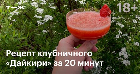 Коктейль «Дайкири»: рецепт приготовления в домашних условиях, фото ...