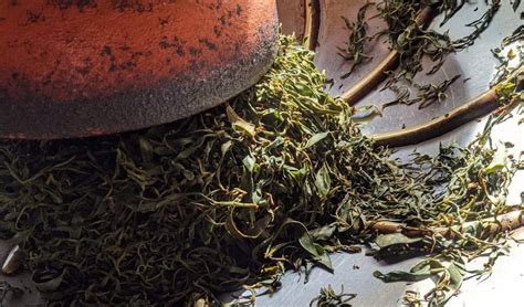 Hongcha - All You Need to Know about Chinese Black Tea ‣ Eastville Tea