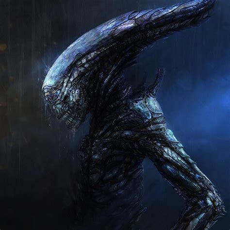 Redesigned Xenomorph Fan Art Alien Movie