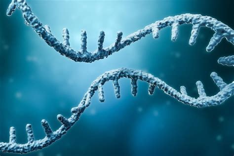 The Role of Alternative Polyadenylation in Disease